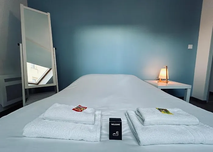 Apartament Maison De Charme 8 Chambres, 8 Salle De Bain Reims